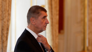 Бабиш предпочита кроната пред еврото
