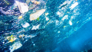 Средиземно море е застрашено да стане „море от пластмаса”