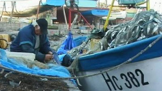 Отпада забраната за улов на калкан