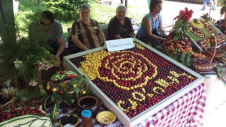 Кюстендил чества Празника на черешата с 2-метрова торта