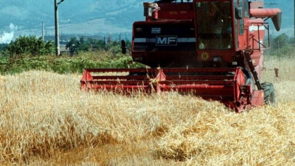  Сирия може да внася пшеница от България | StandartNews.com