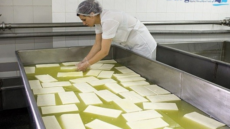 За 10 години производството на сирене намаляло с 16 000 тона | StandartNews.com