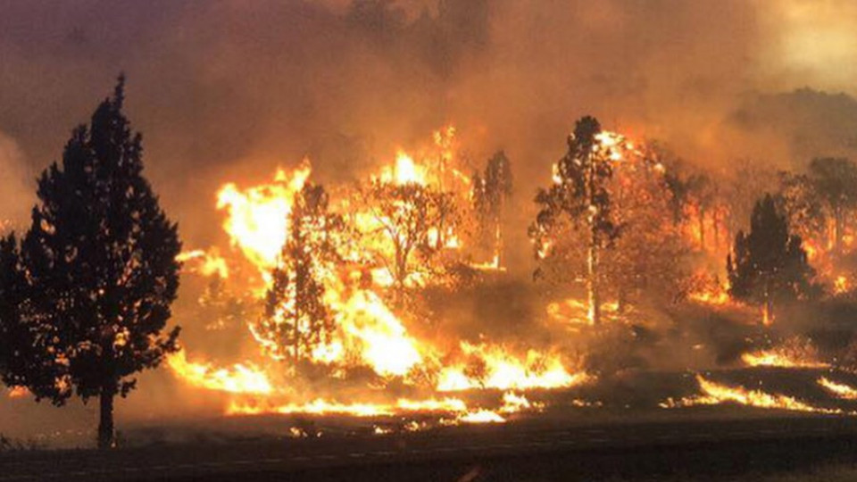Извънредно положение в Калифорния заради горски пожари | StandartNews.com
