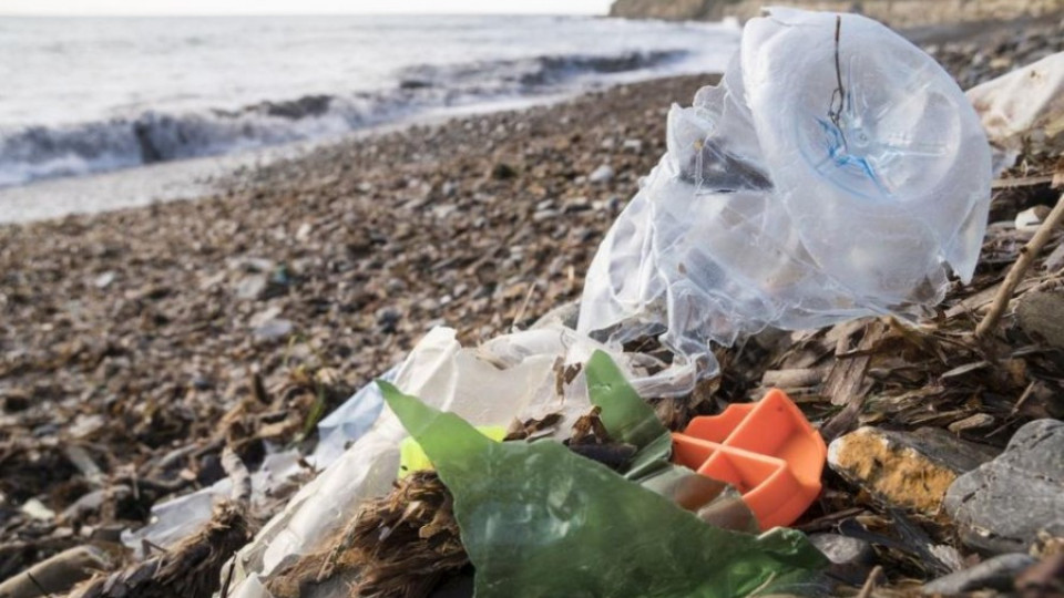 Малки стъпки във войната срещу пластмасата | StandartNews.com