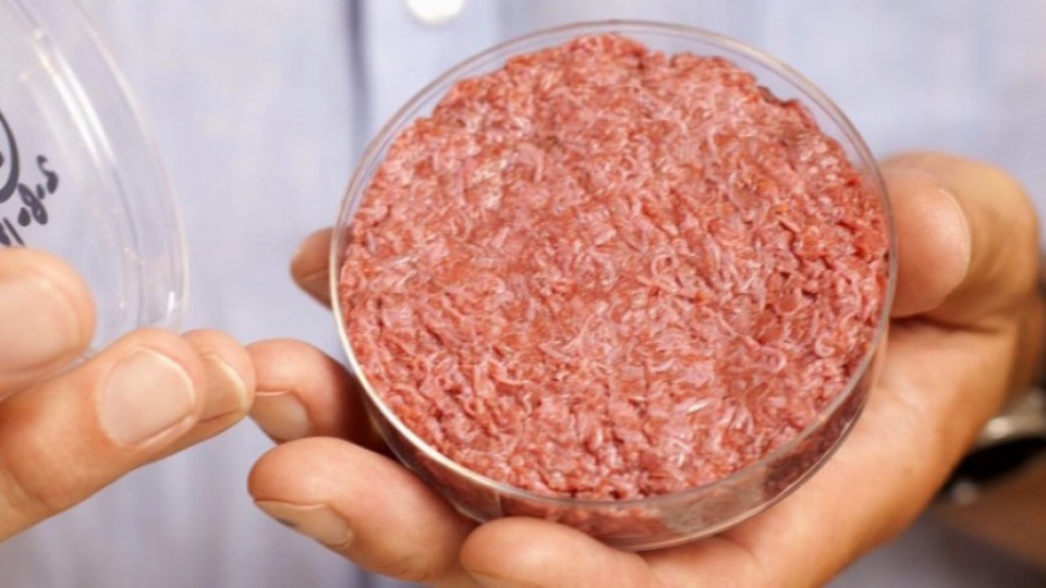 В Холандия ще отглеждат изкуствено месо | StandartNews.com