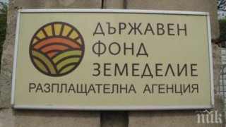 Увеличиха помощите за овце и кози