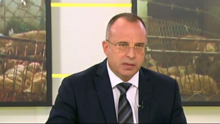 Порожанов: Намаляваме популацията на дивата свиня