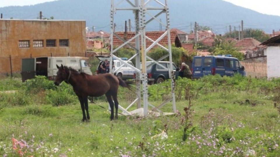 Мащабна операция в ромски махали в Старозагорско, полицията нахлу в десетки имоти | StandartNews.com