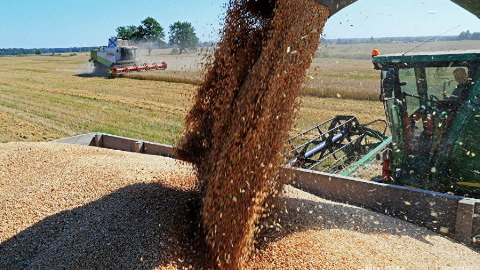Искат 330 лева за тон пшеница | StandartNews.com