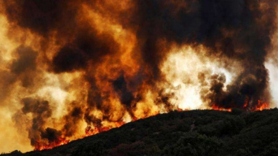 Горещото време разпали най-големия пожар в историята на Калифорния | StandartNews.com