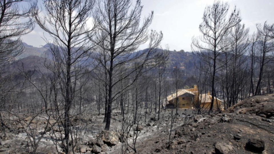 В Испания овладяха големия горски пожар в района на Валенсия | StandartNews.com