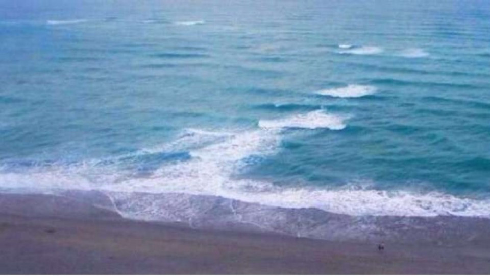 Труп на удавник изплува на бургаски плаж | StandartNews.com