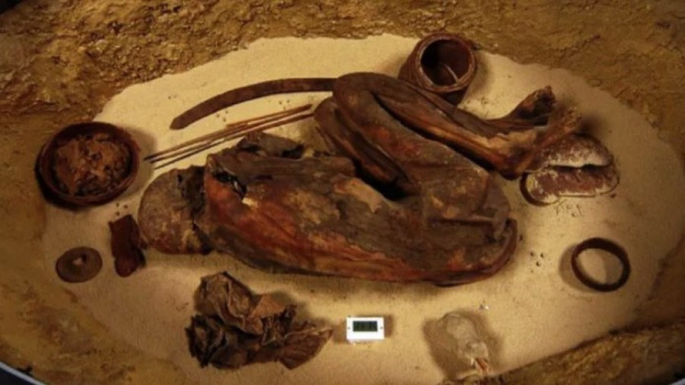 Египтяните балсамирали мъртвите си преди повече от 6000 години  | StandartNews.com
