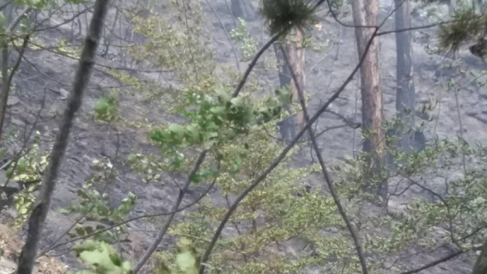 Пожарът край Карлово вече е потушен | StandartNews.com