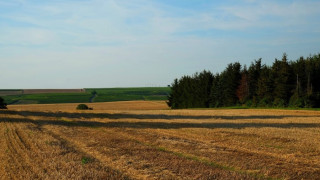 Собственици на земя търсят купувачи за близо 900 хил. дка