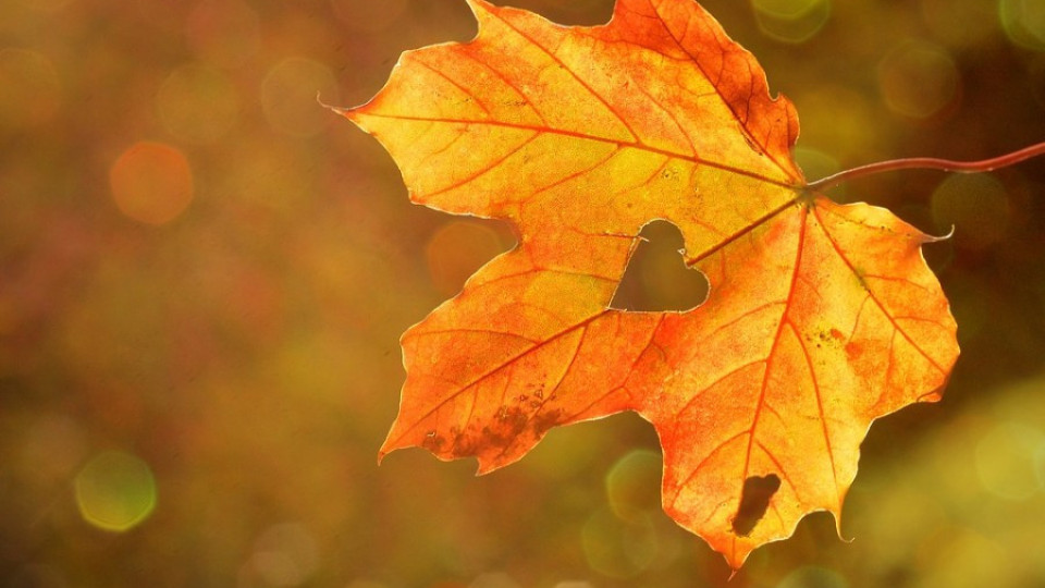 Aстрономическата есен пристига в 4.54 ч. на 23 септември | StandartNews.com