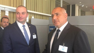България напълно подкрепя европейската и евроатлантическата перспектива на Грузия