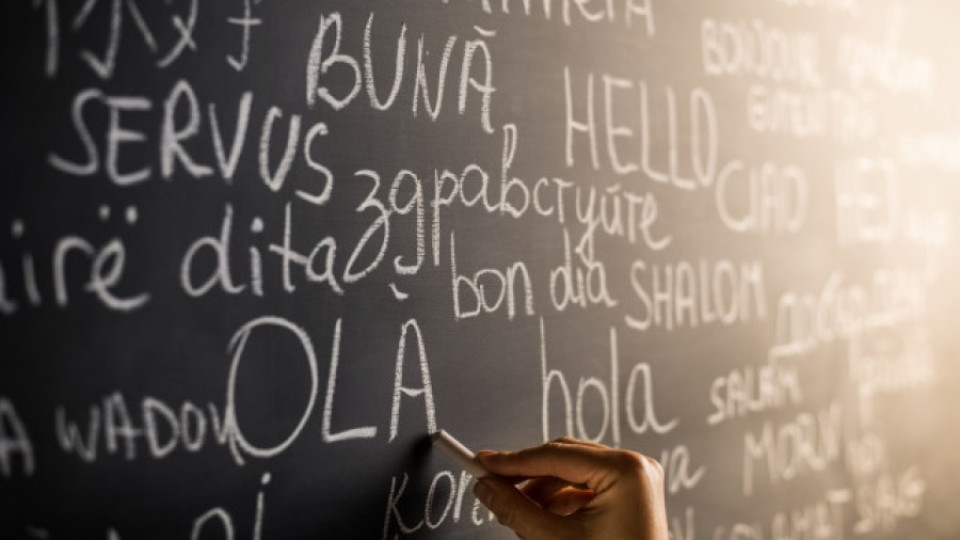 Евростат: Половината работещи българи не използват нито един чужд език | StandartNews.com