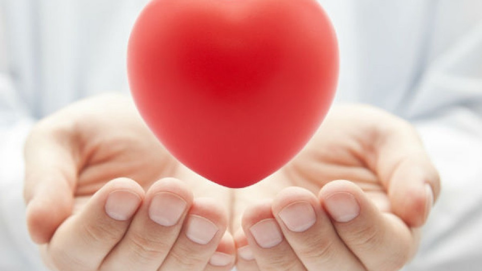 29 септември е Световният ден на сърцето | StandartNews.com