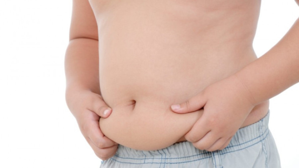 Една трета от децата у нас са с наднормено тегло | StandartNews.com