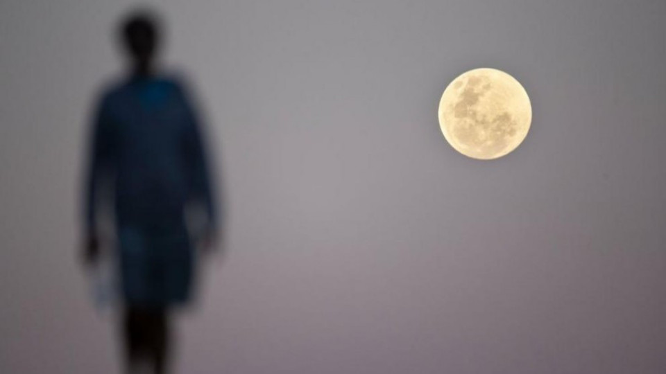 Как тренира първият частен турист за пътуването си около Луната? | StandartNews.com