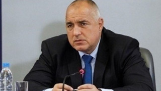 Има и платени протести, и партийна намеса