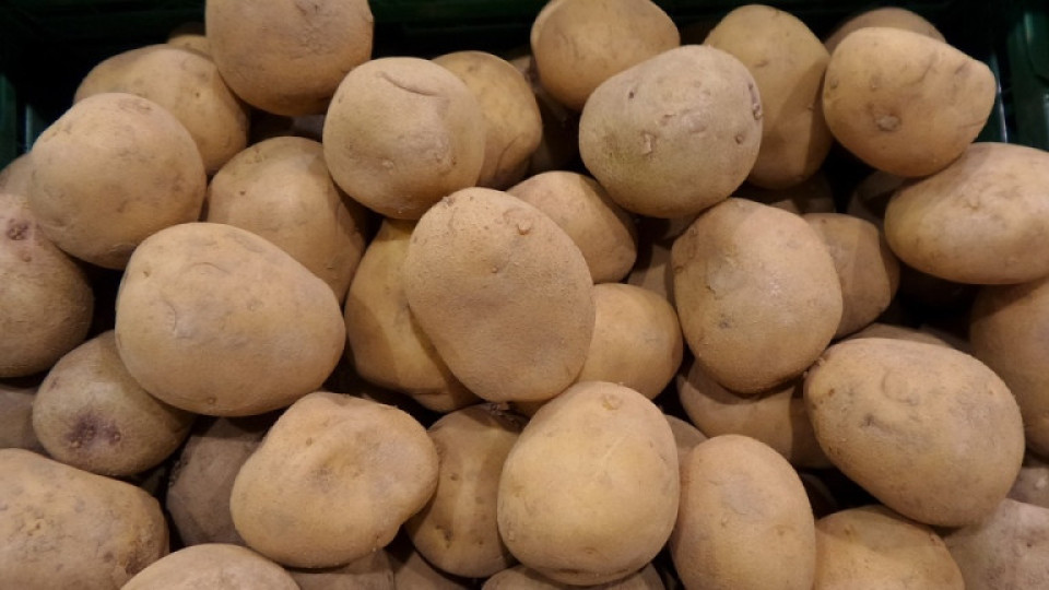 Германски картофи с етикети, че са български | StandartNews.com