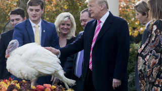 Тръмп помилва две пуйки