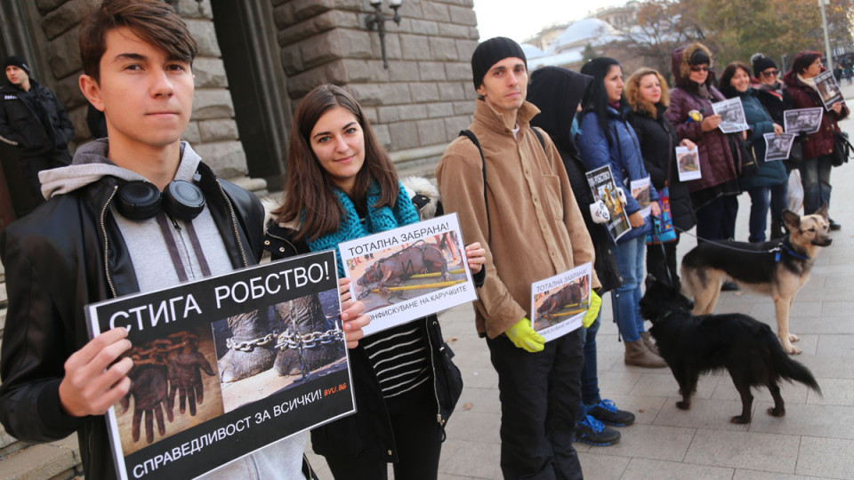 Вегани и протестанти на протест (ОБЗОР) | StandartNews.com