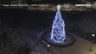 Запалват светлините на коледната елха в София