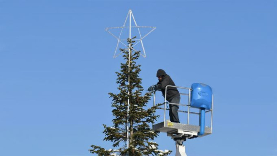 Коледната елха във Варна ще грейне на Никулден | StandartNews.com