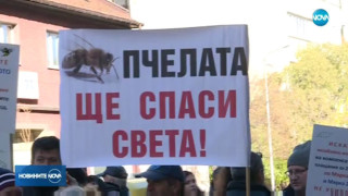 Пчеларите излизат на протест