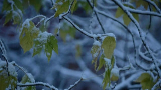 Лошо време днес, облачно със северозападен вятър