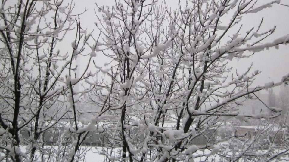 Жълт код за силен снеговалеж в 4 области | StandartNews.com