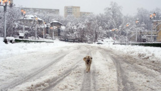 Сняг и студ в Източна България