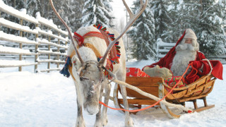 Дядо Коледа и елените започнаха обиколката си по света