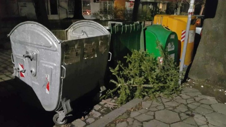 Столичният инспекторат: Не изхвърляйте елхите в кофите за боклук | StandartNews.com
