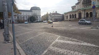 Промяна в движението в София заради водосвета