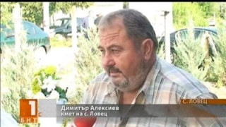 Червен кмет на съд за застреляни кучета