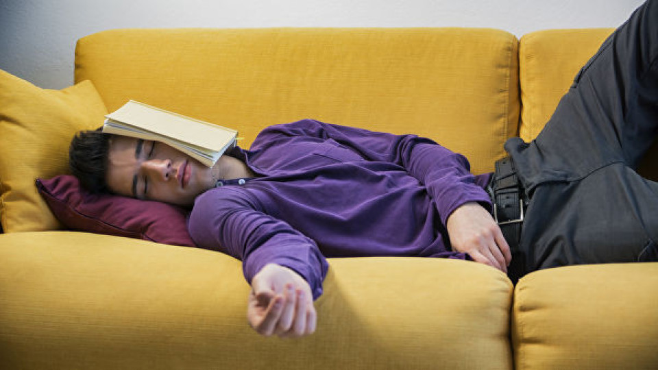 Спането през деня може да докара деменция | StandartNews.com
