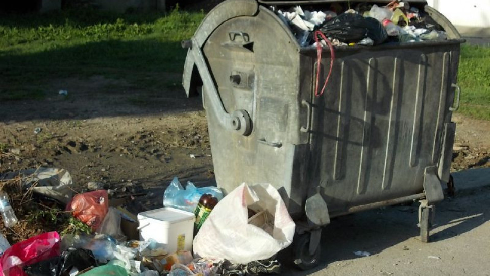 Съдът: Кофа за боклук е невинна в катастрофа | StandartNews.com