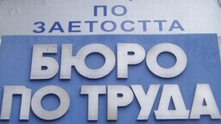 Безработните младежи в Плевен са над 1400