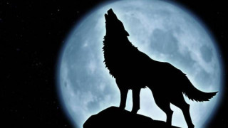 "Вълчата Луна" ни изправя пред кошмарите ни