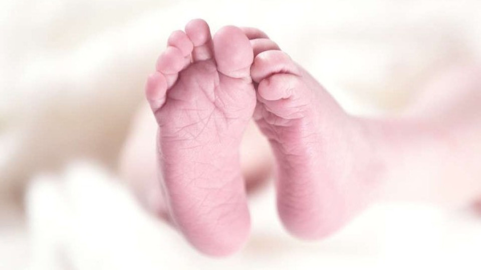 Отбелязваме Деня на родилната помощ - Бабинден | StandartNews.com