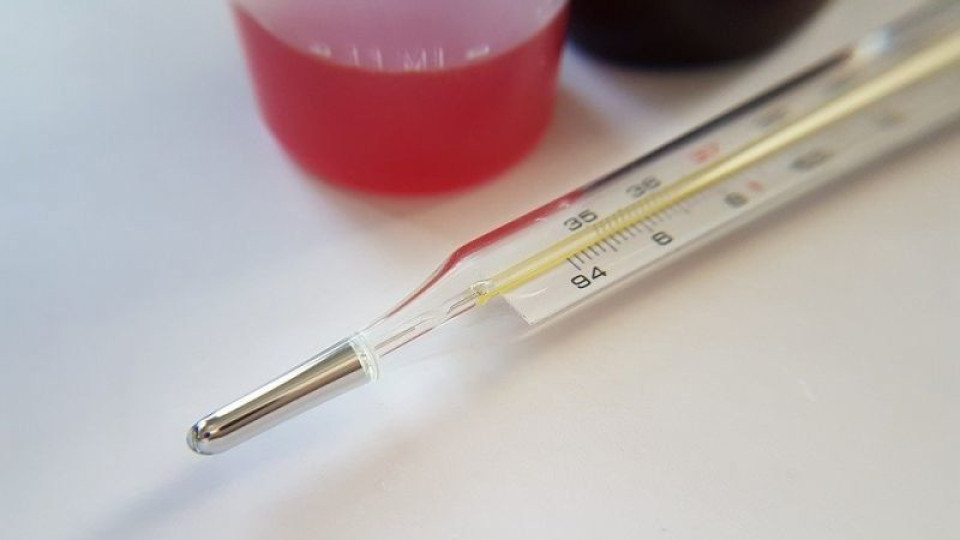 След усложнения от грипа две жени починаха в Пловдив | StandartNews.com