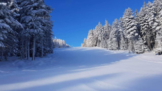 Времето днес: Зима в Северозападна България и пролет - в Източна