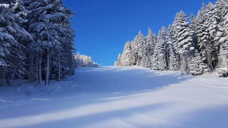 Времето днес: Зима в Северозападна България и пролет - в Източна | StandartNews.com