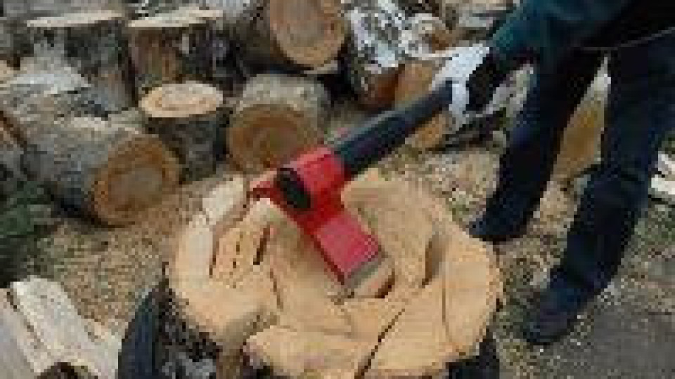 Кмет се прави на нотариус, отстраняват го, ще цепи дърва | StandartNews.com