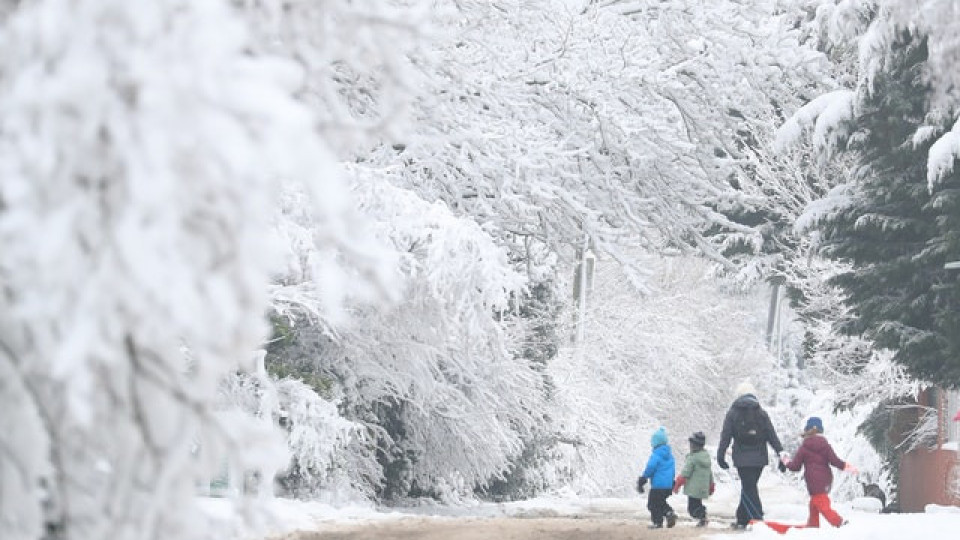 Студ и сняг сковават Западна Европа | StandartNews.com