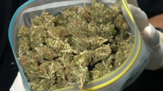 Криминалисти от Кърджали намериха и иззеха 1,7 кг марихуана